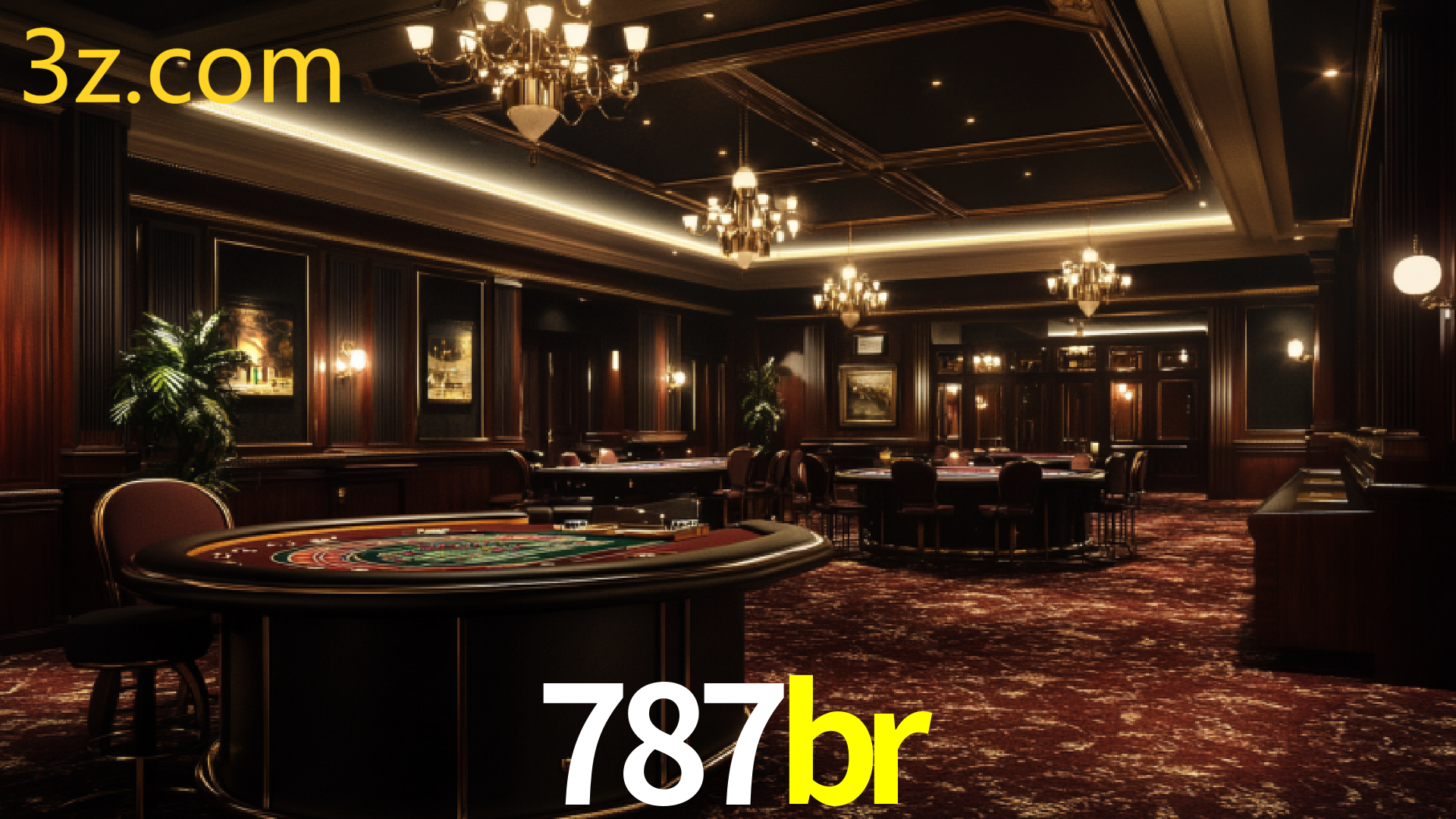 787BR